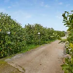 Limoneto