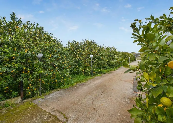 Limoneto