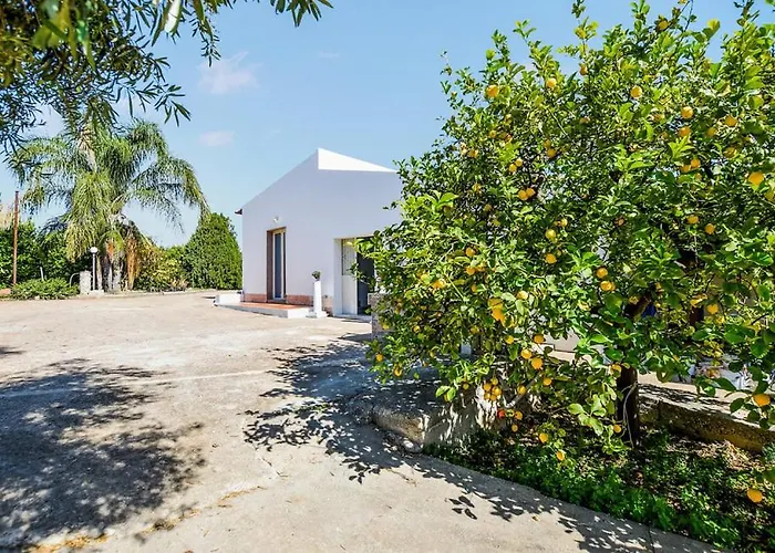 Limoneto * Syracuse